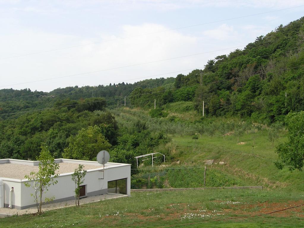 Apartments Rajkovic ลาบิน ภายนอก รูปภาพ